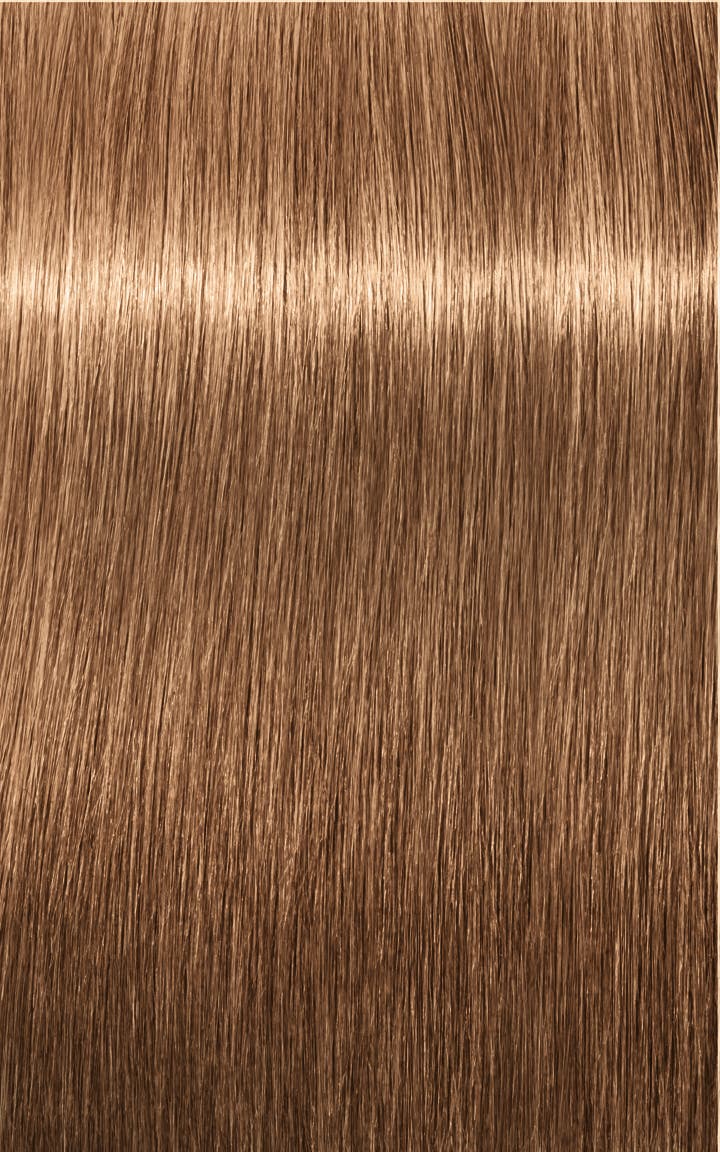 Indola Pcc | Hair Color |Light Blond Gold Pearl 8.32 | 60 Ml